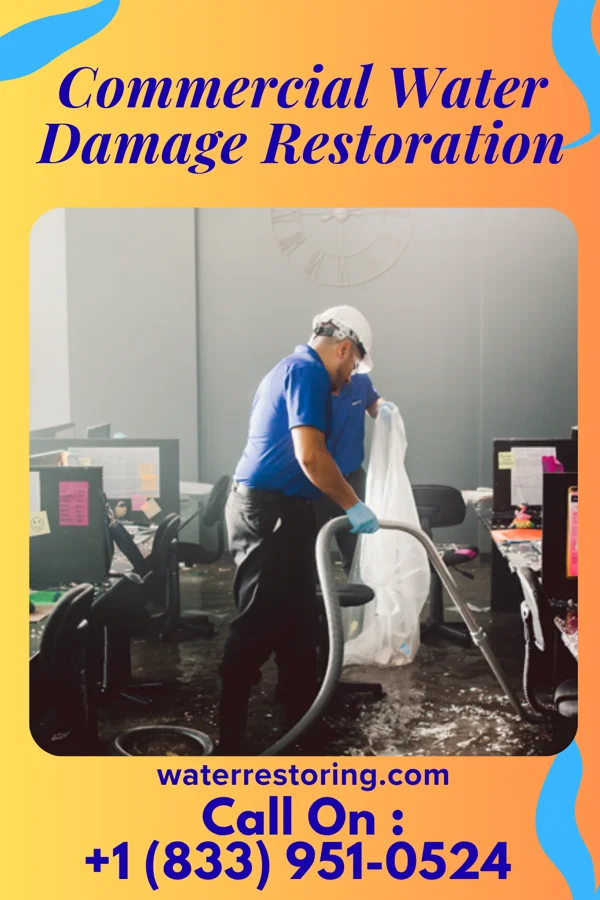 Commercial Water Damage Restoration in Sigourney, IA