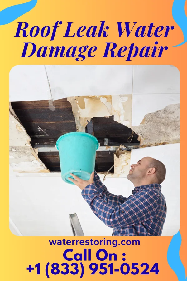 Roof Leak Water Damage Repair in Sigourney, IA