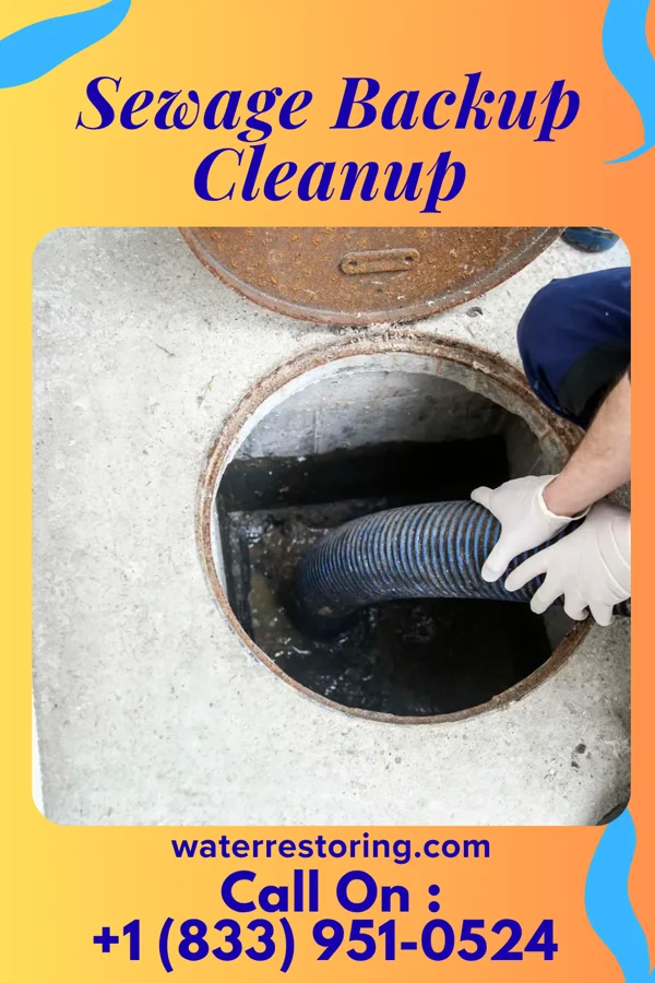 Sewage Backup Cleanup in Sigourney, IA